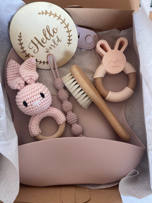 Conjunto Bebé Coelho Em Rosa - Babete Silicone