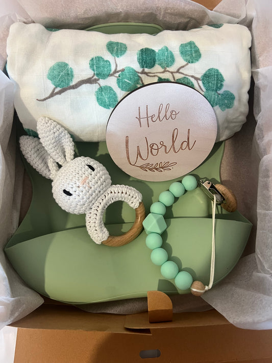 Conjunto Verde Coelho - Tillie & Teo