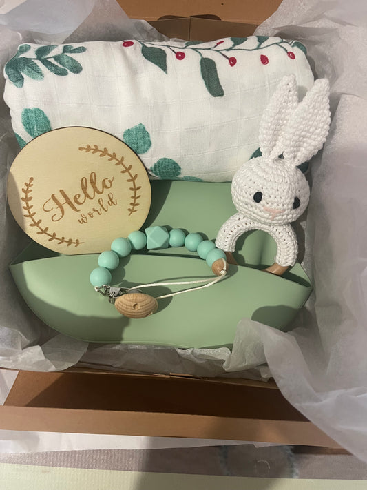 Conjunto Verde Coelho